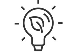 Accompagnement à la transition